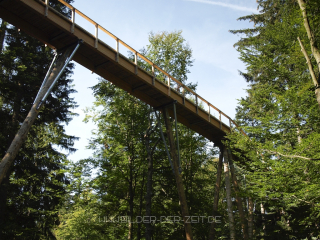 baumwipfelweg-nationalpark-bayerischer-wald-4