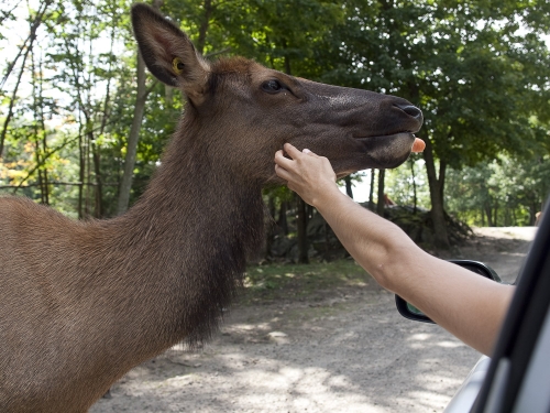 parc-omega-29
