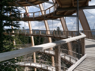 baumwipfelpfad2010-13