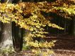jahreszeiten-25