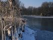 Winter am See