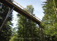 baumwipfelweg-nationalpark-bayerischer-wald-4