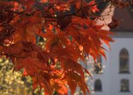 feuriger Herbst