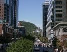 down-town-2-2