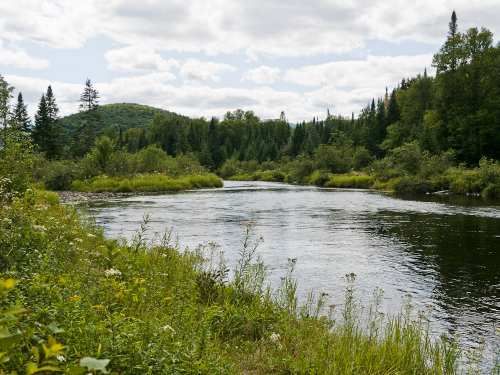 nationalpark-mont-tremblant-13