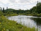 nationalpark-mont-tremblant-13