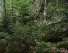 nationalpark-5