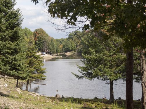 parc-omega-11