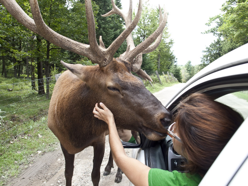 parc-omega-16