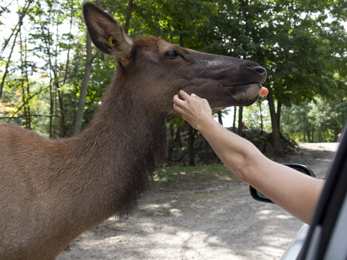 parc-omega-29