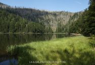 rachelsee-10