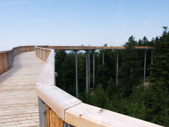 waldwipfelweg-7